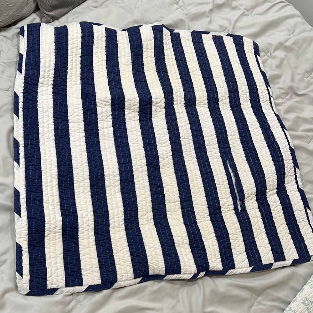 Pottery Barn Kids Euro Sham
